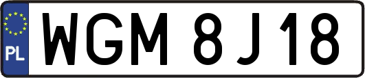 WGM8J18