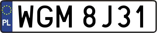 WGM8J31