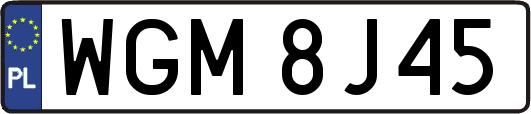 WGM8J45