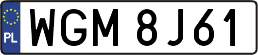 WGM8J61