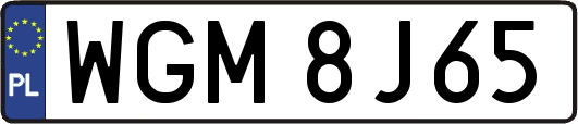 WGM8J65