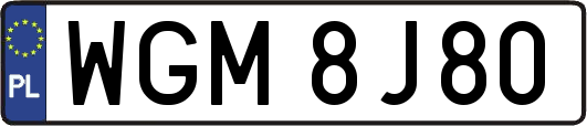 WGM8J80