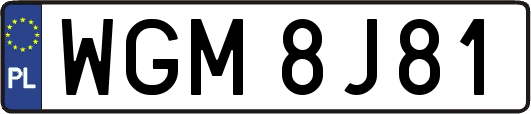 WGM8J81