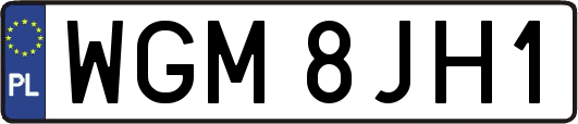 WGM8JH1
