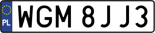 WGM8JJ3