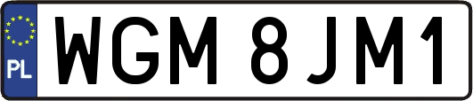WGM8JM1