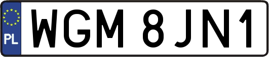 WGM8JN1