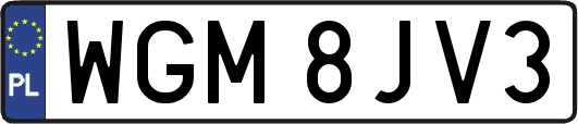 WGM8JV3