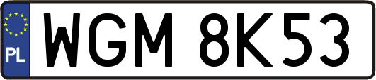 WGM8K53