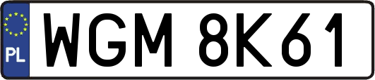 WGM8K61