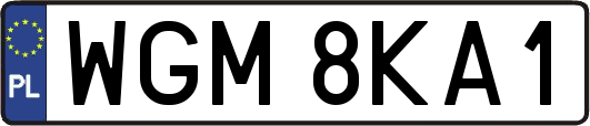 WGM8KA1