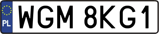 WGM8KG1