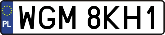 WGM8KH1