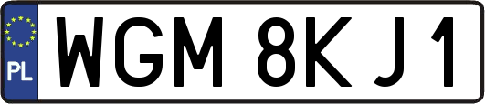 WGM8KJ1