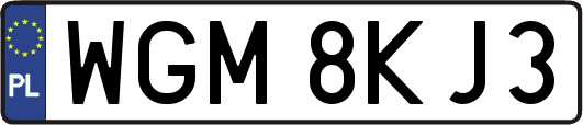 WGM8KJ3