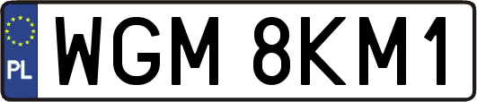 WGM8KM1