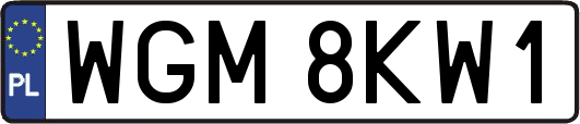 WGM8KW1