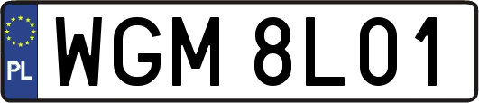 WGM8L01