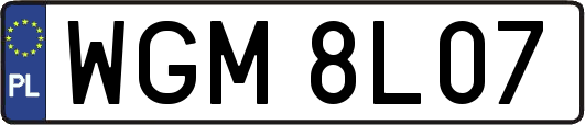 WGM8L07