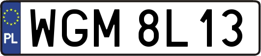 WGM8L13