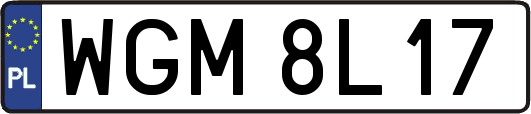 WGM8L17