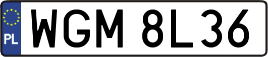 WGM8L36