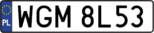 WGM8L53