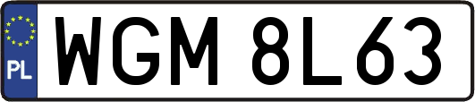 WGM8L63