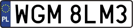 WGM8LM3
