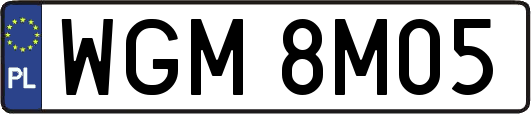 WGM8M05