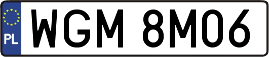 WGM8M06