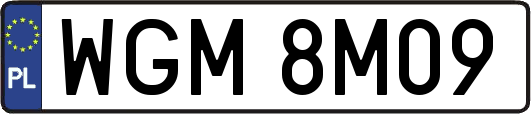 WGM8M09