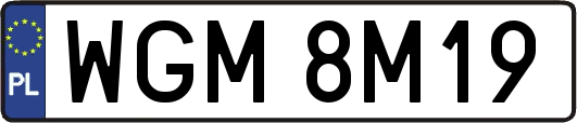 WGM8M19