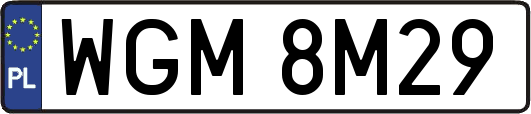 WGM8M29