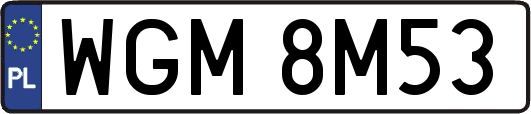 WGM8M53