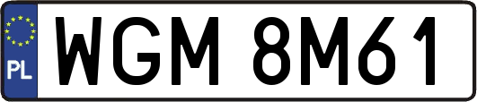 WGM8M61