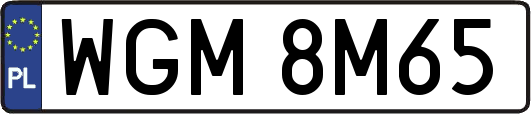 WGM8M65