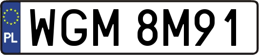 WGM8M91