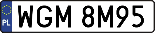 WGM8M95