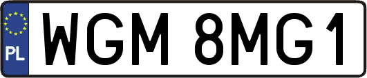 WGM8MG1