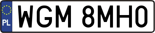 WGM8MH0
