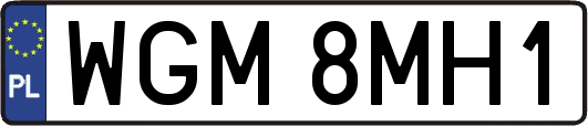 WGM8MH1