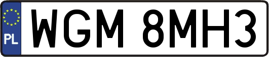 WGM8MH3