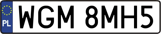 WGM8MH5