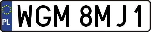 WGM8MJ1