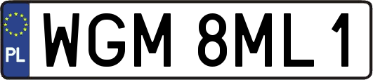 WGM8ML1