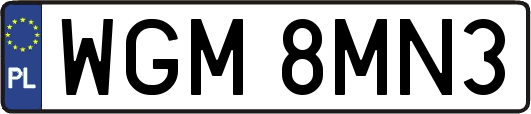 WGM8MN3