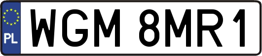 WGM8MR1