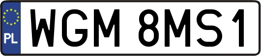 WGM8MS1
