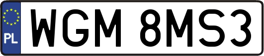 WGM8MS3